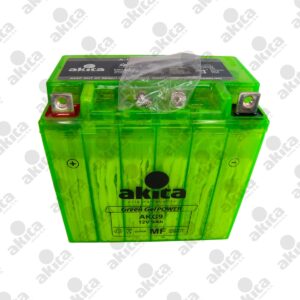 BATERIA AKITA GREEN NANO GEL/10 AKG9
